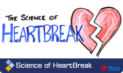 the science of heartbreak