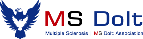 msdoit.com msdoit.com